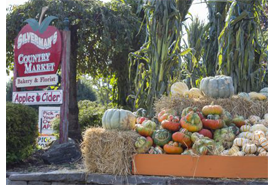 Silverman's Farm