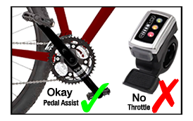 E-bike Graphic