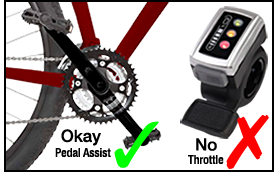 E-bike Graphic