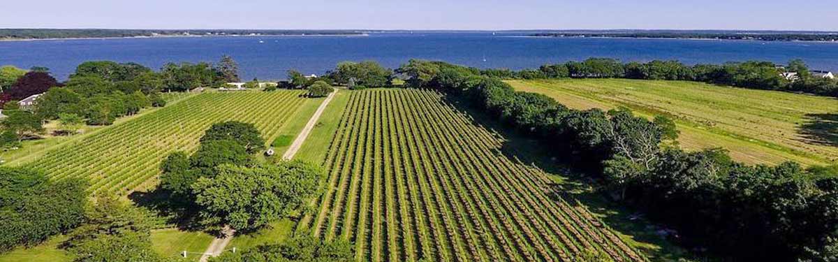 Long Island Winery